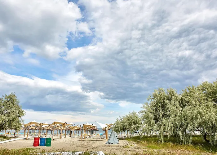 Bora Bora Tomis Năvodari